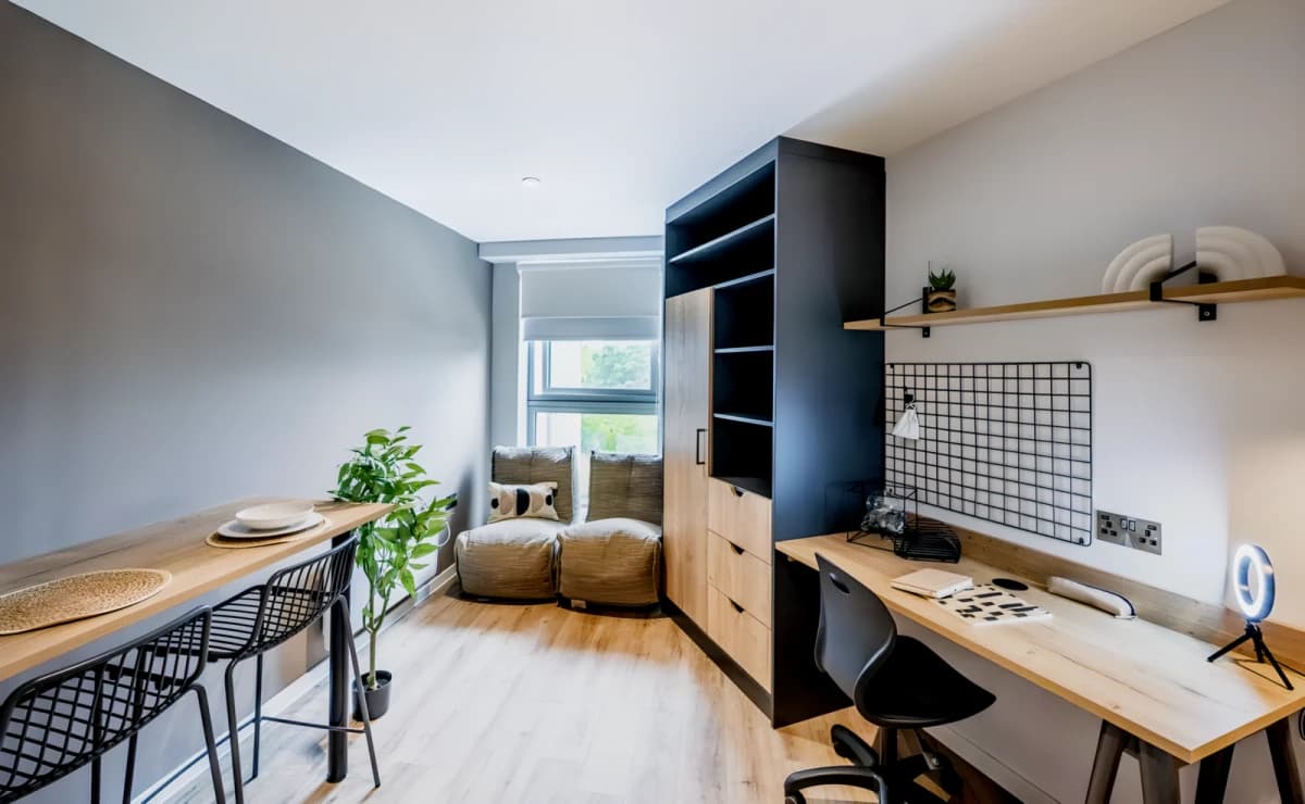 Luxury Studio