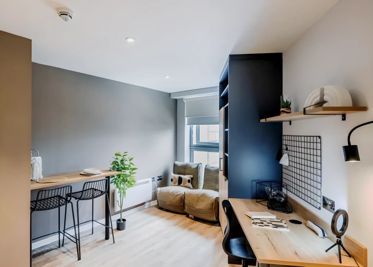 Luxury Studio