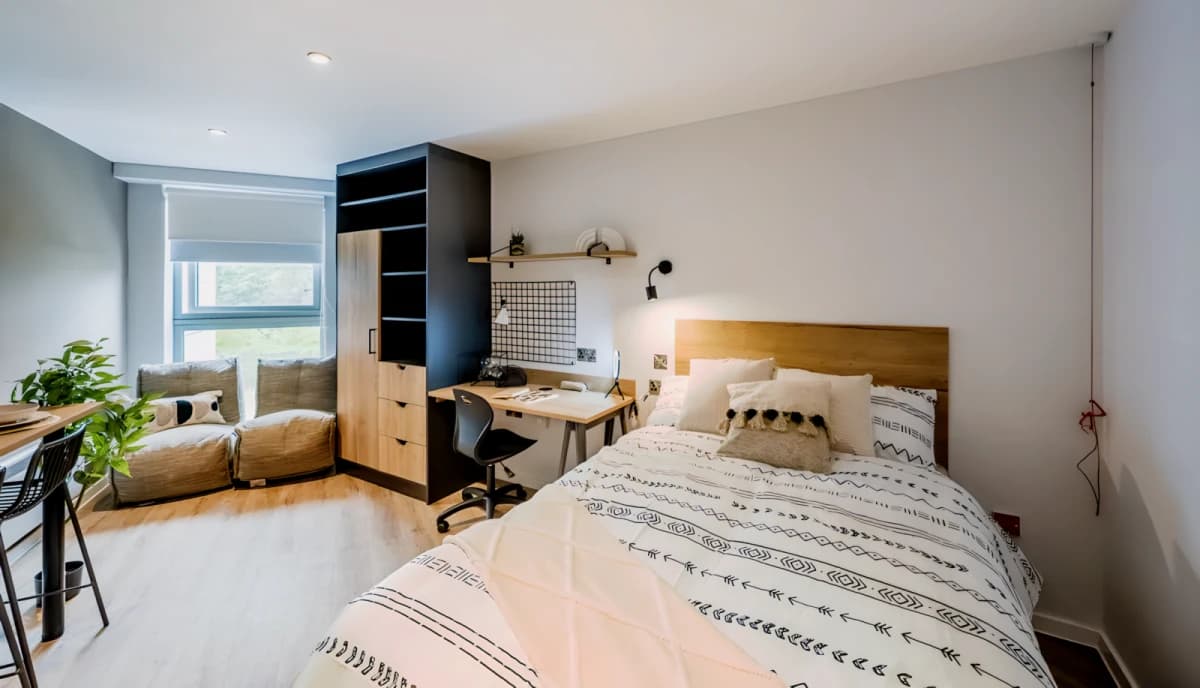 Luxury Studio
