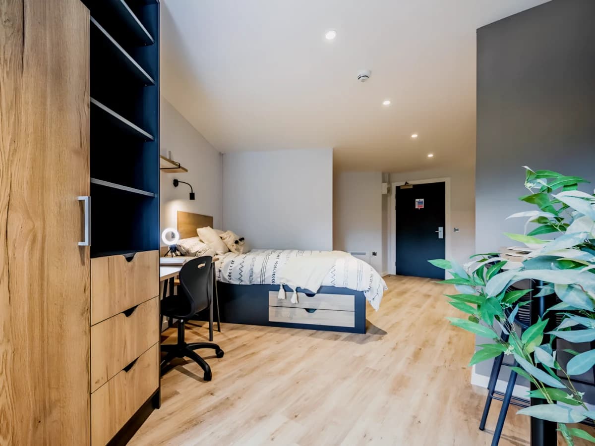 Luxury Studio
