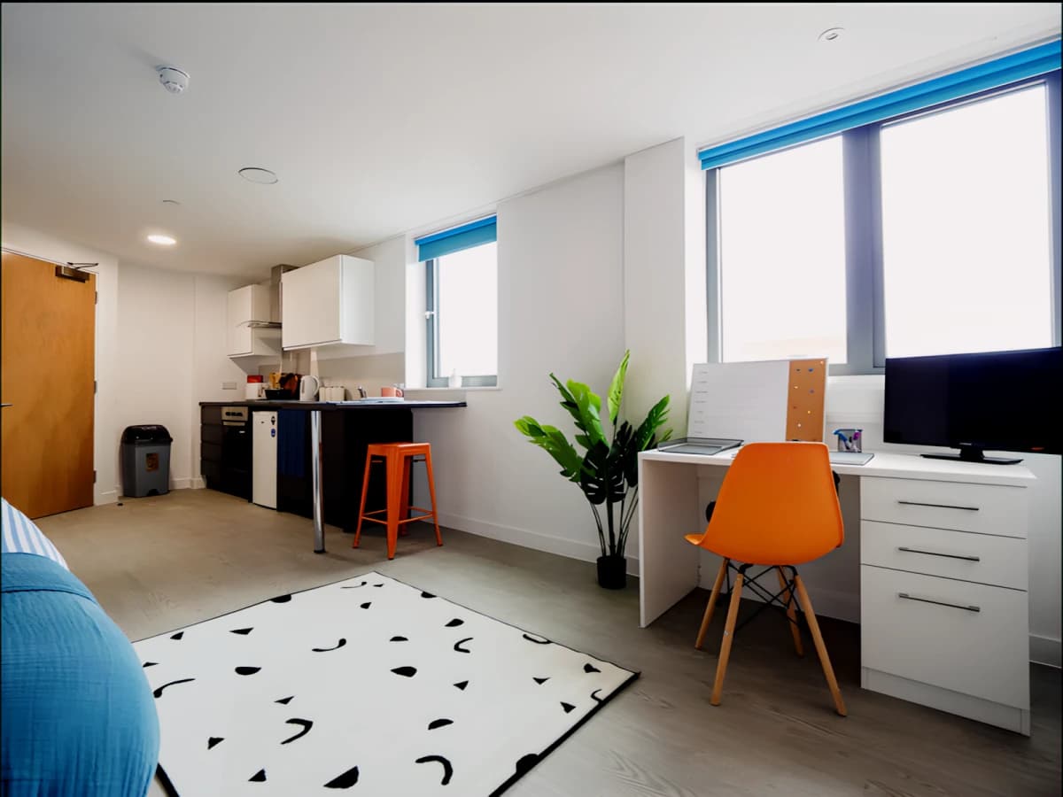 Extra Large Studio