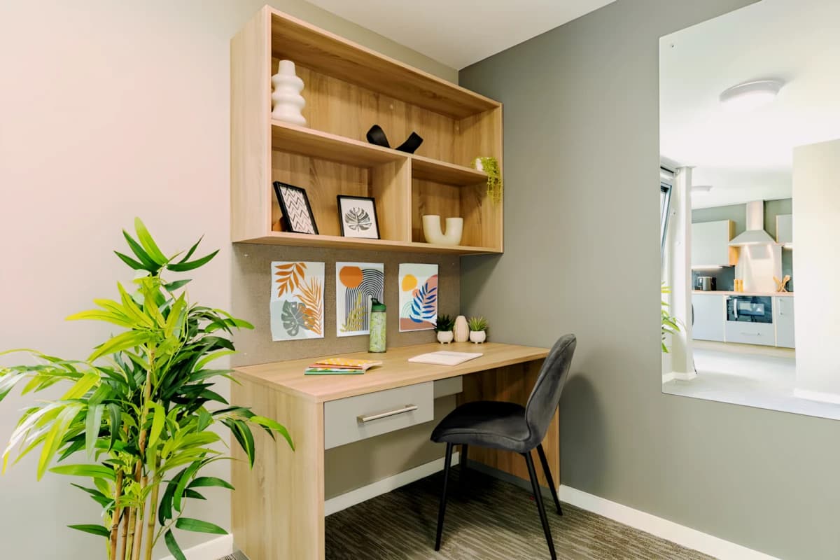 1 Bed Apartment