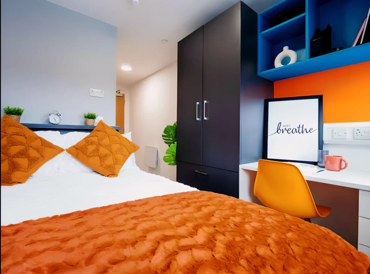 5 Bed