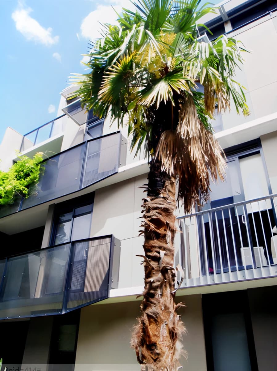 Student Living on Riversdale image 2