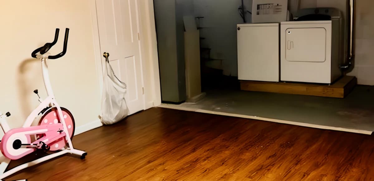 3 Bed 1.5 Bath Female Roommates