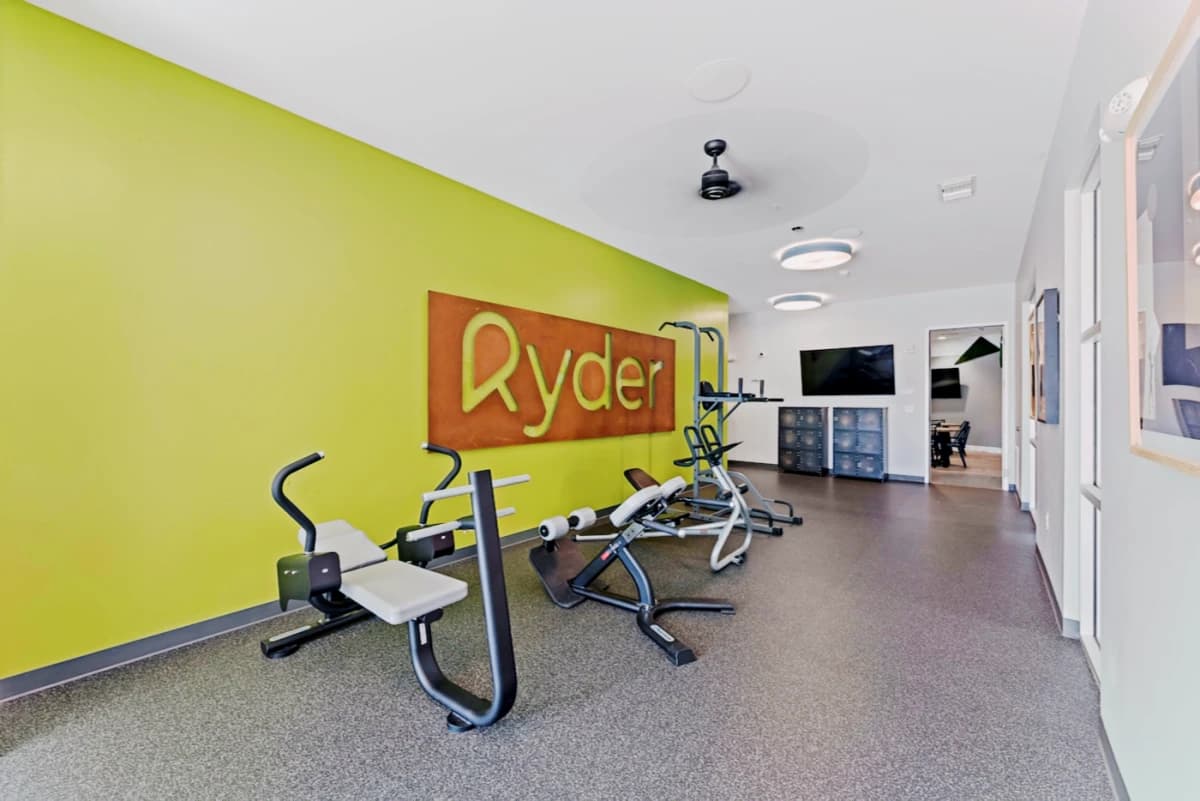 Ryder on Olive image