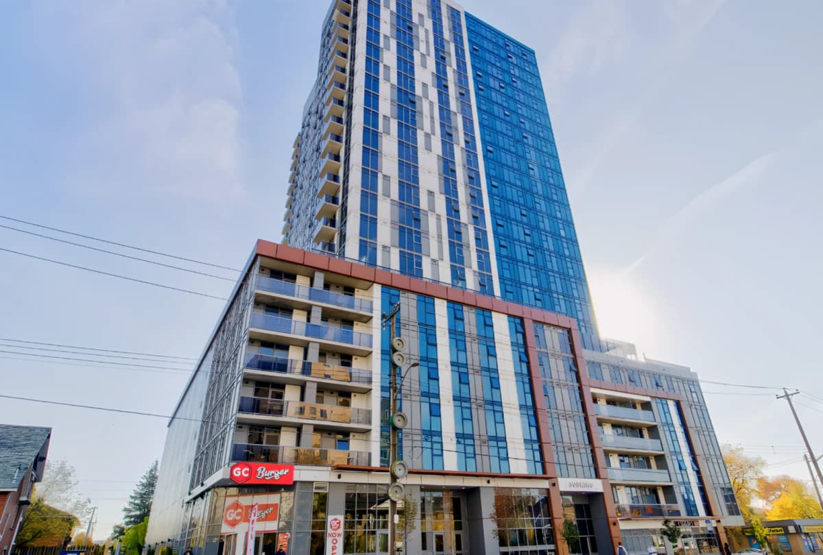 308 King image 2