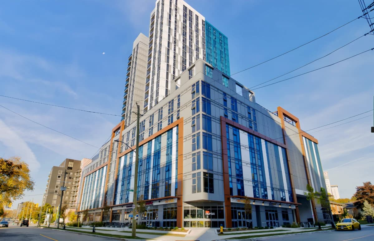 308 King image 4