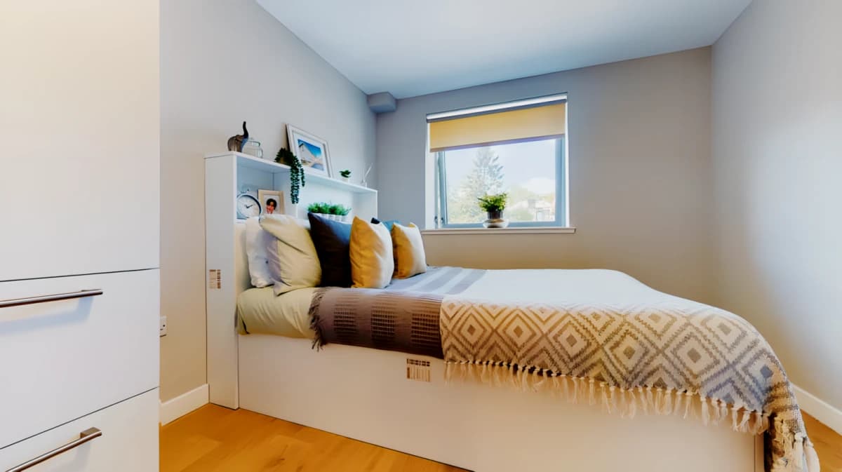 Centro House image