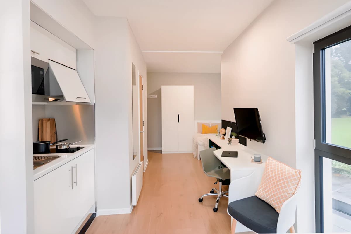 Studio gold plus - corner