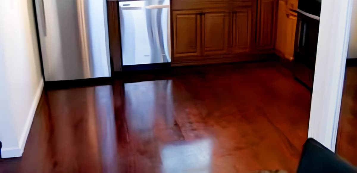 3 Bed 1 Bath Apartment 1