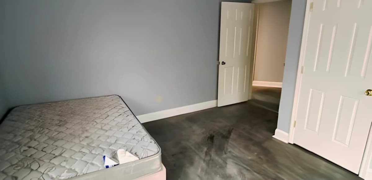 3 Bed 2 Bath