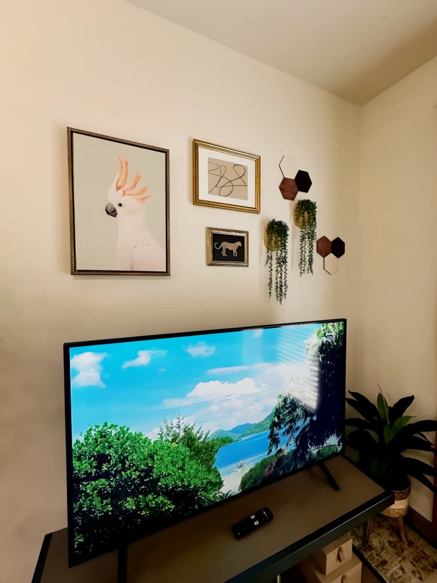 848 Mitchell Apartment image