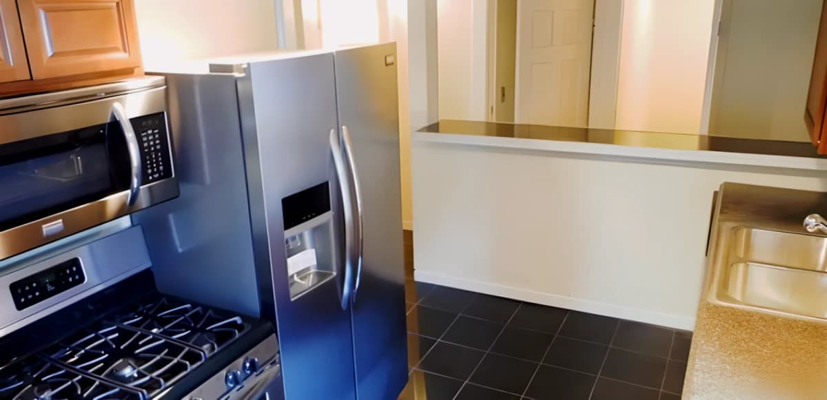 4 Bed 1.5 Bath Apartment 2