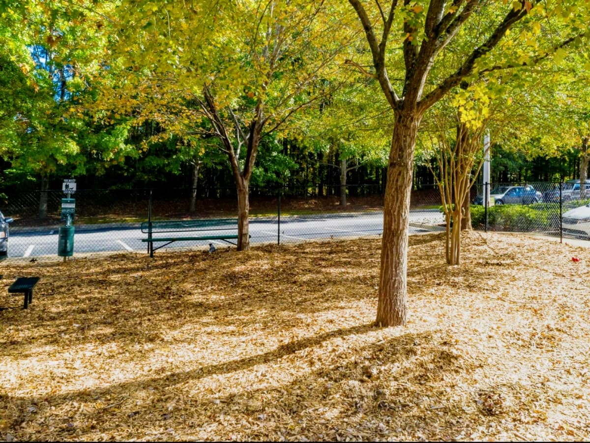 Centennial Village Student Housing image
