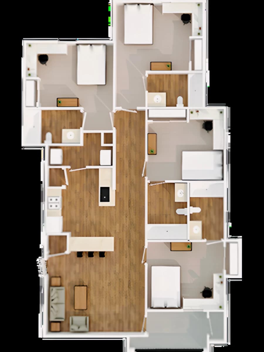 The Zone image