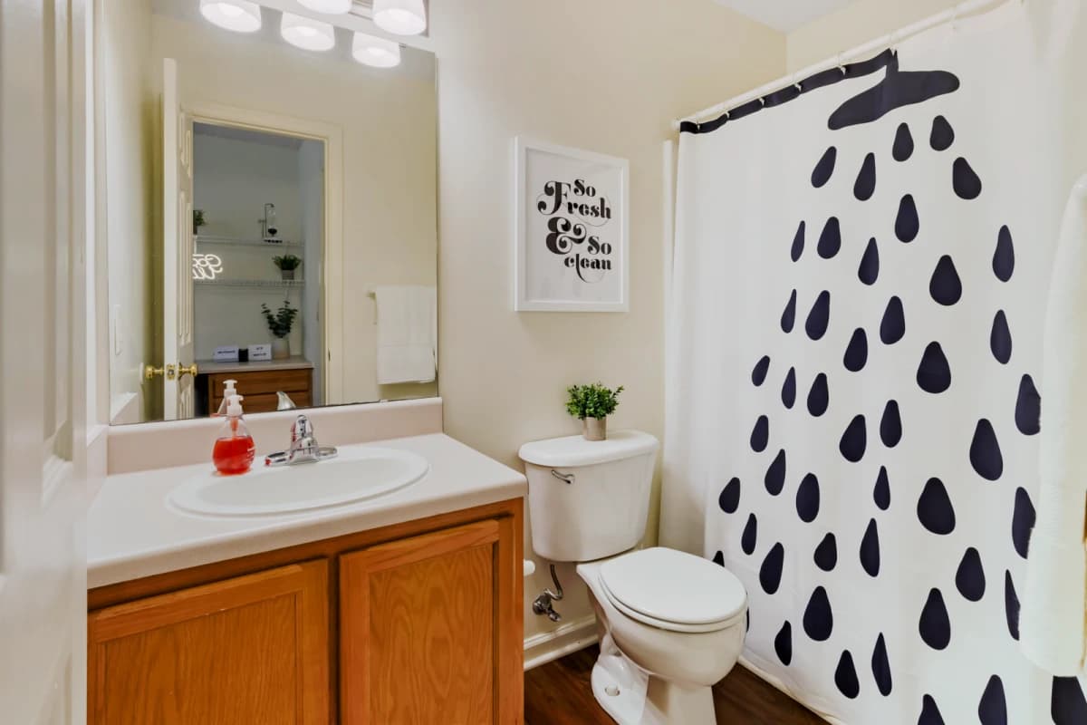 University Suites image