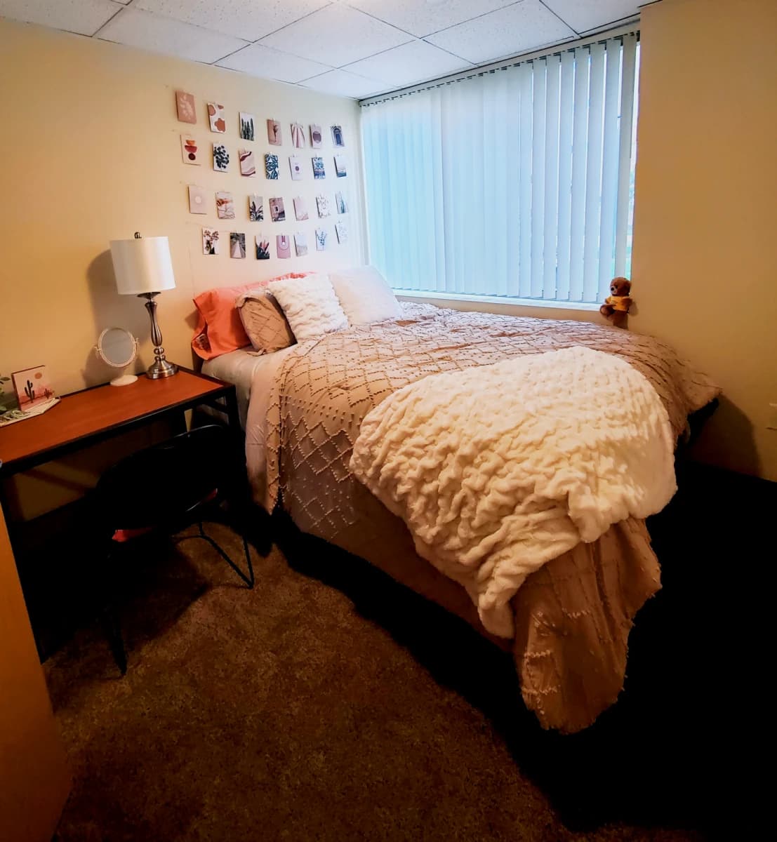 Pierpont Place image 5