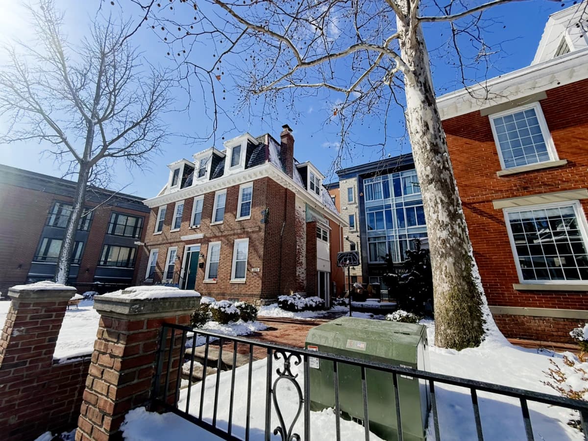 The View on Pavey Square image
