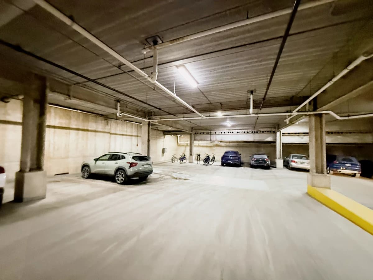 Saga Ann Arbor image