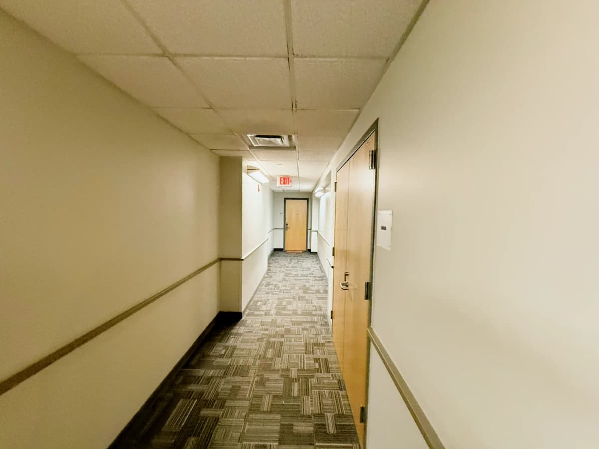 Saga Ann Arbor image