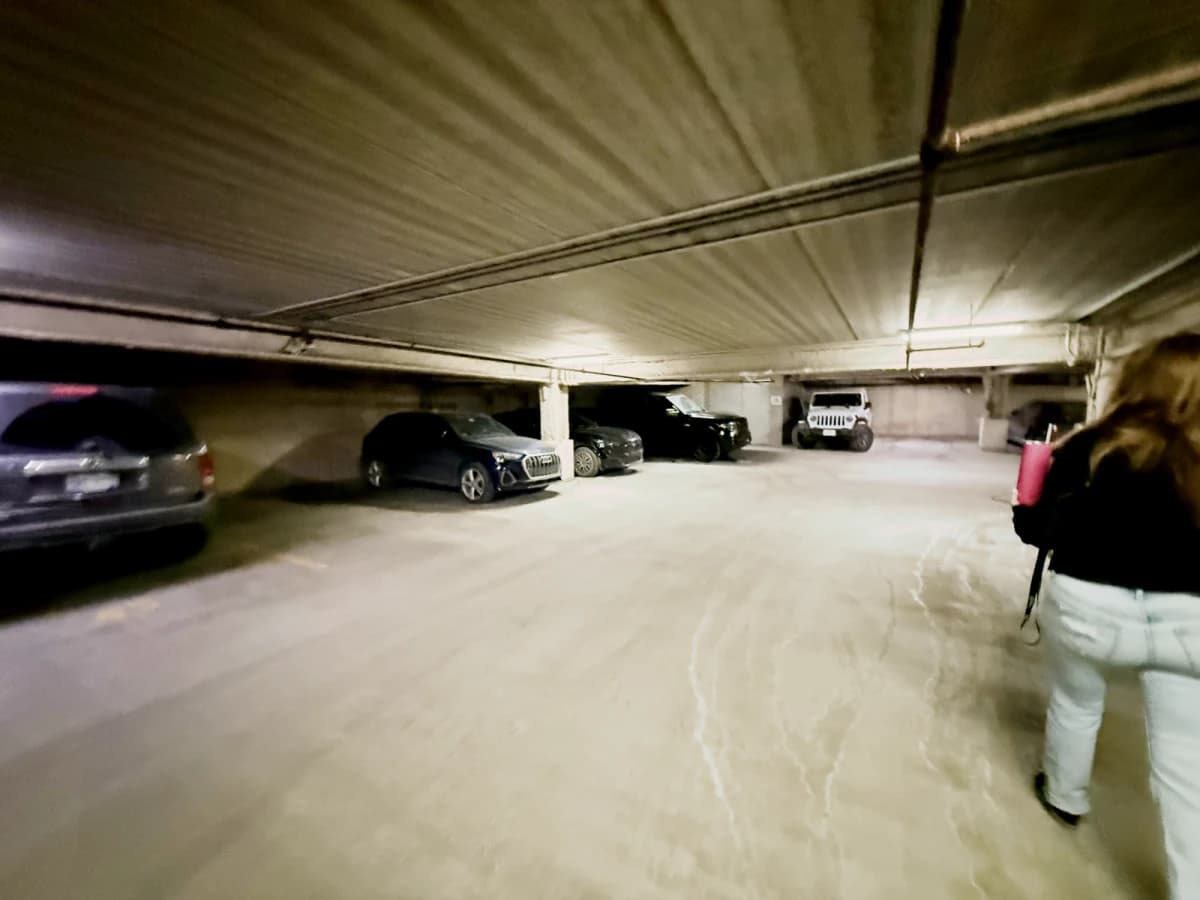 Saga Ann Arbor image