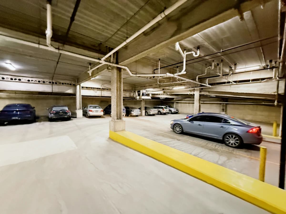 Saga Ann Arbor image