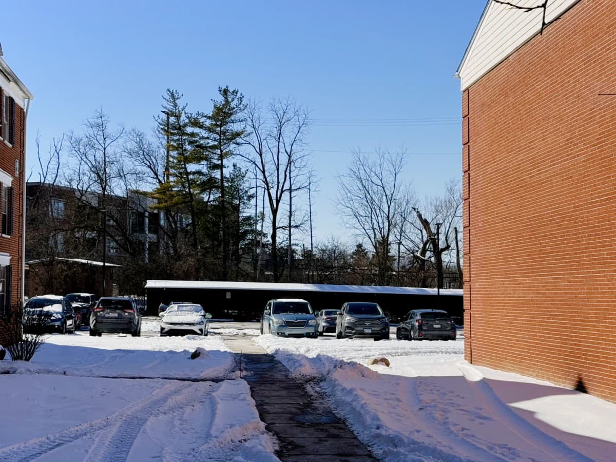 Willowtree Apartments and Tower image