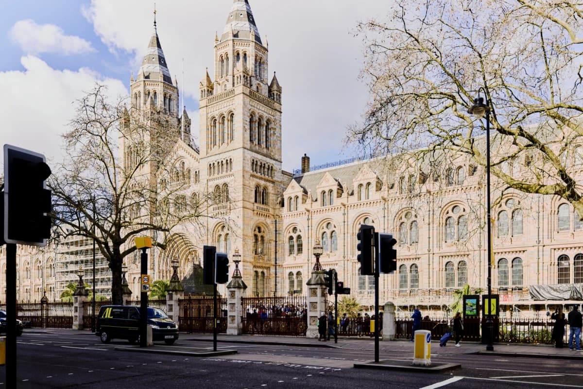 Fifty One London
