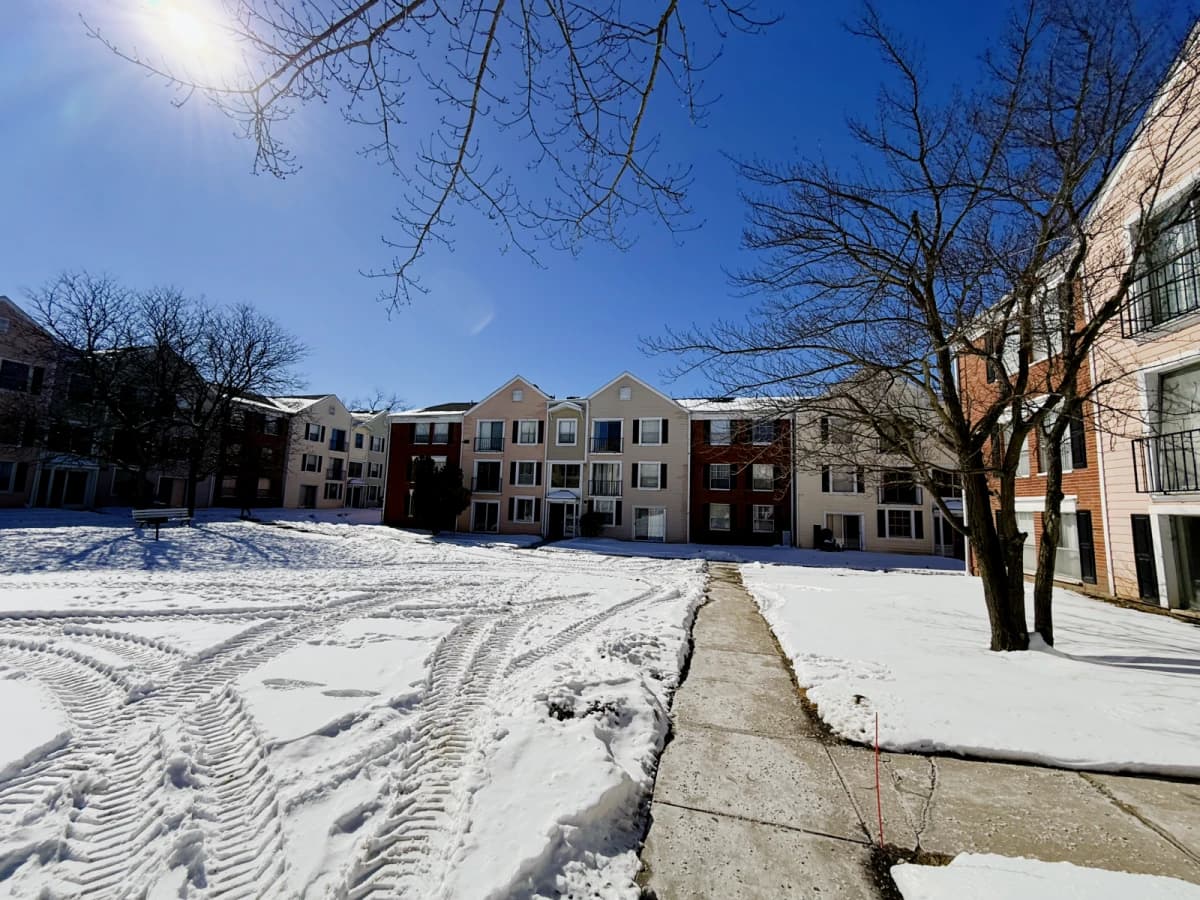 Willowtree Apartments and Tower image