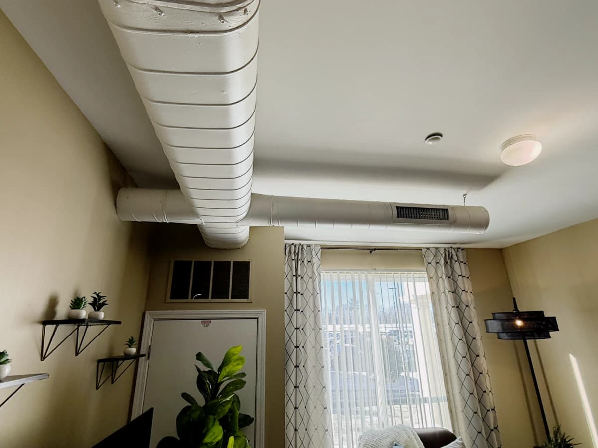1bd / 1ba