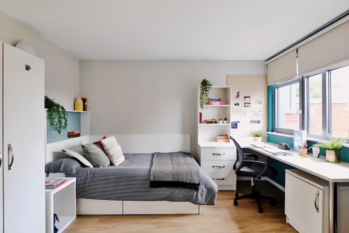 Classic Studio - Limited View