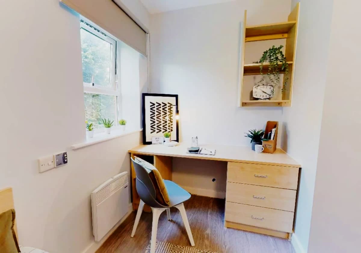 iQ Student Quarter image