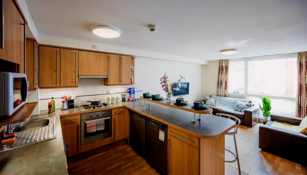 Standard Ensuite (within a 4 bed flat)