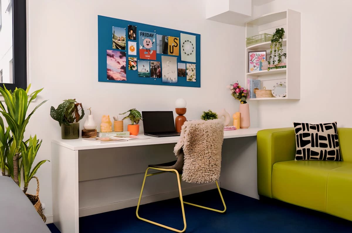 Extra Large Studio