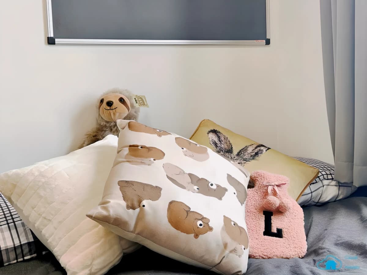 Rochester Student Village image