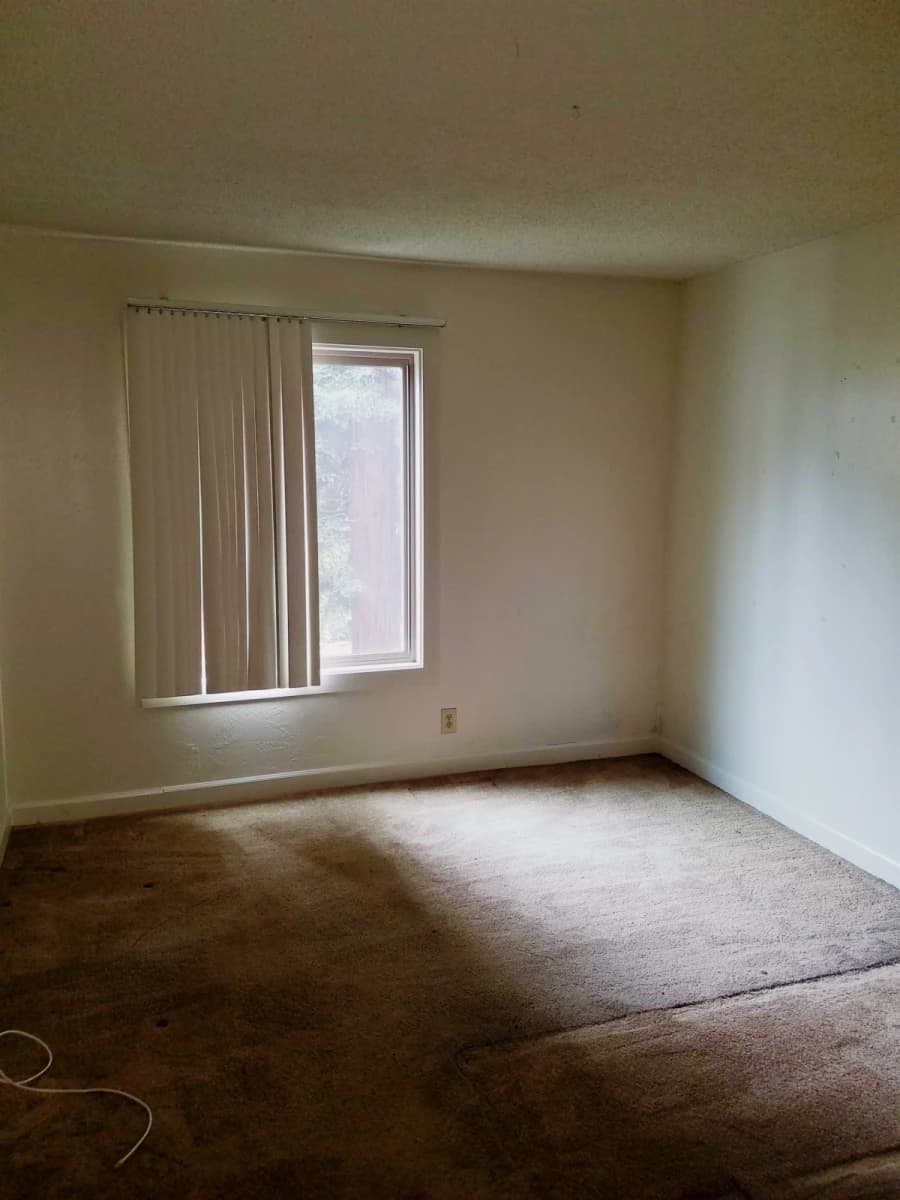 Uni Flats image