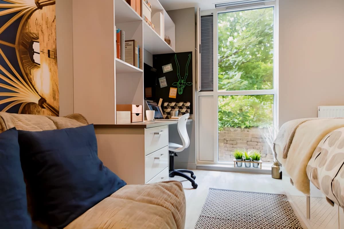 Classic Studio - Limited View