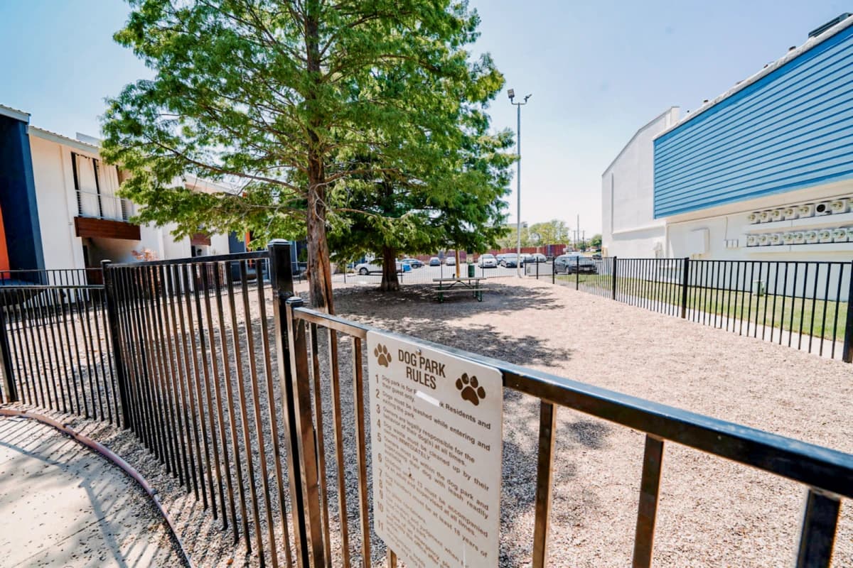 University View image