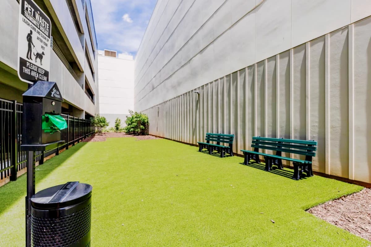Rush Student Living image