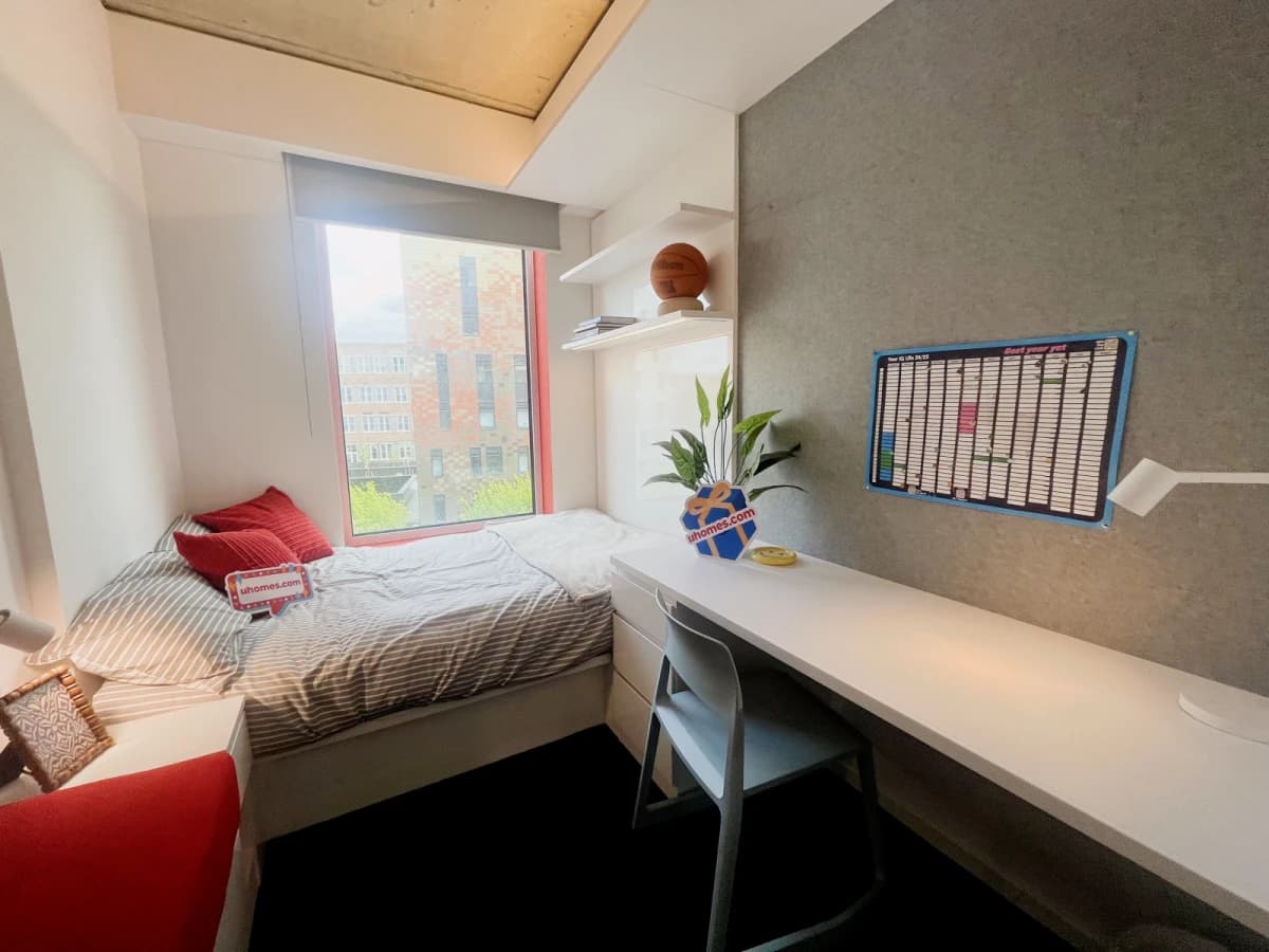 iQ Brighton image