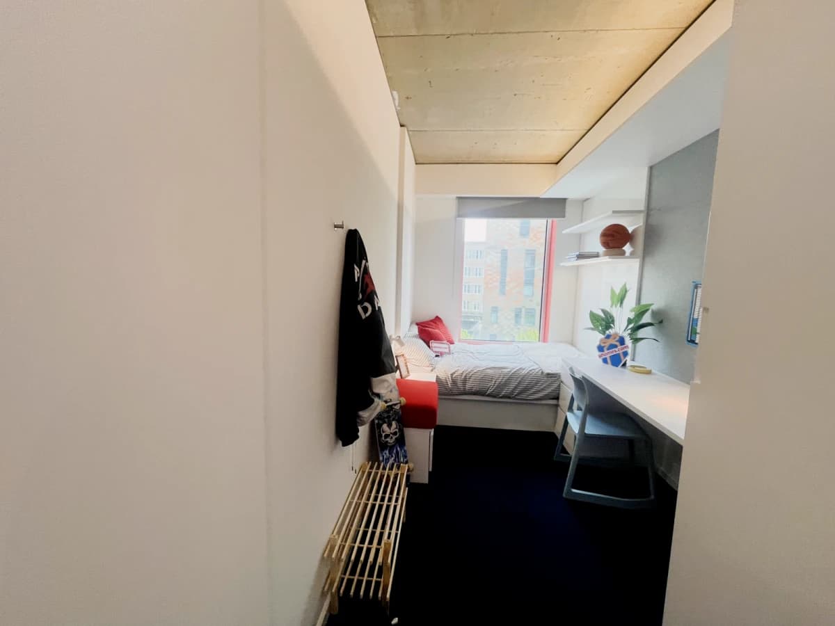 iQ Brighton image