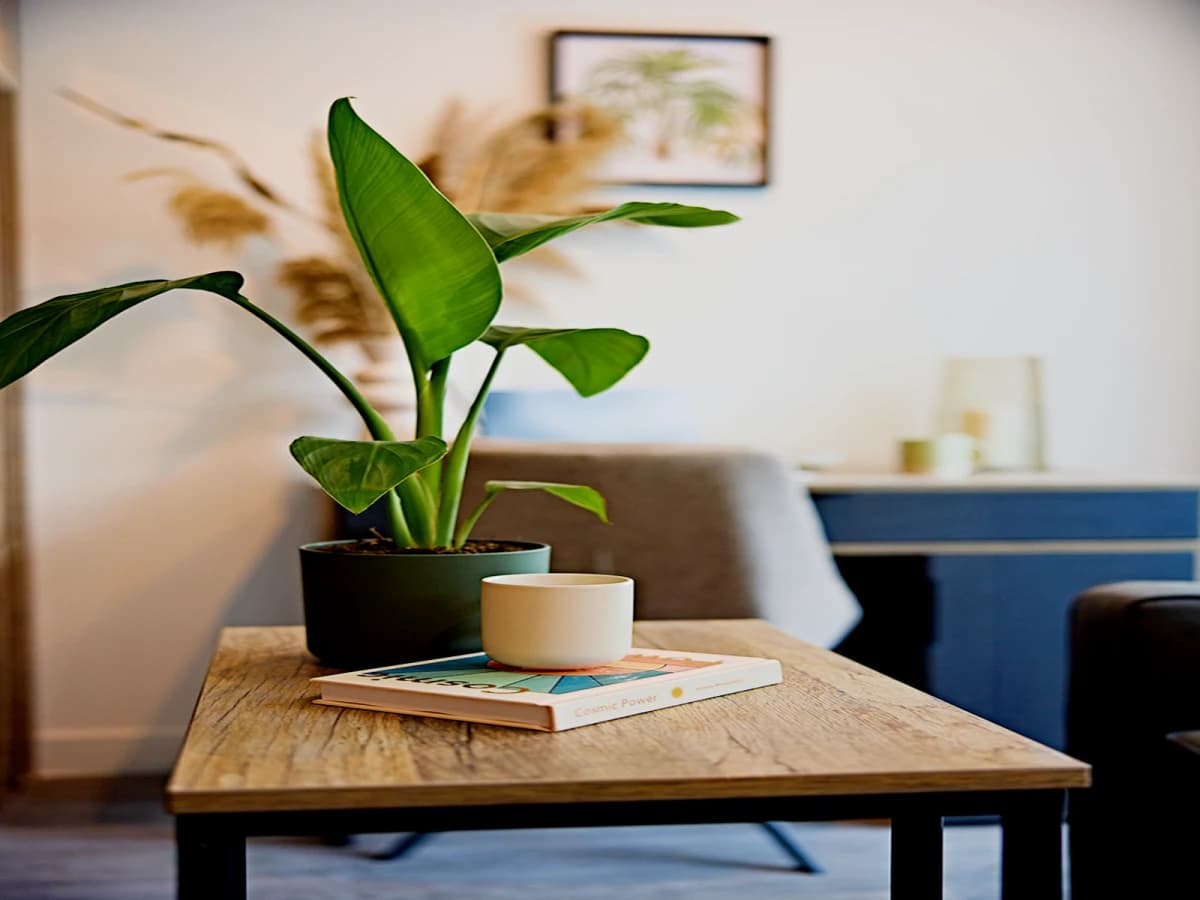 LiveOasis St Albans Place image
