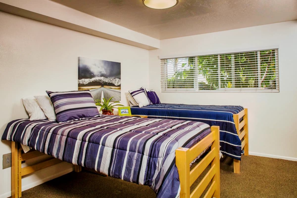 Tropicana Student Living image