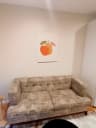 1 bed 1 bath