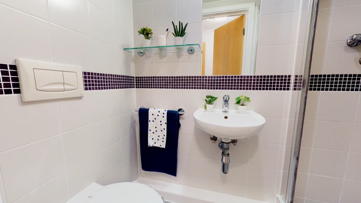 iQ Magenta House image