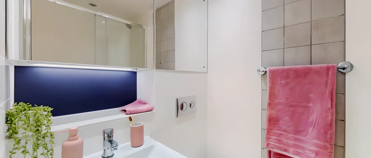 Chapter Westminster image