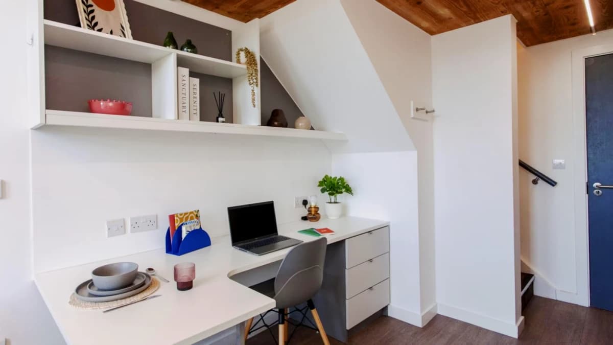 Deluxe Plus Studio