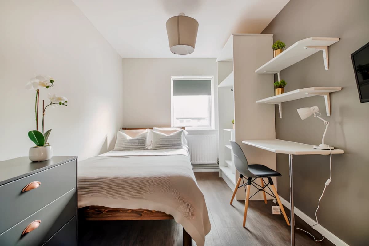 6 Bed 2 Bath