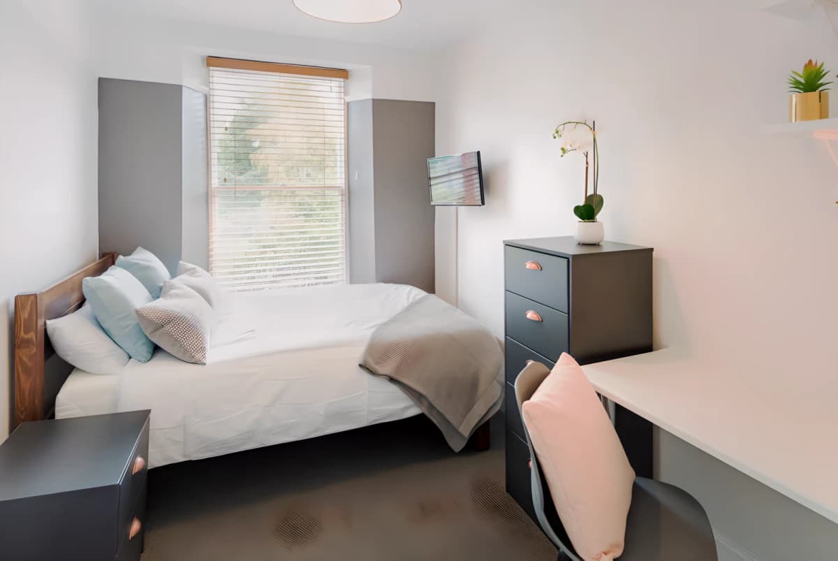 8 Bed 2 Bath